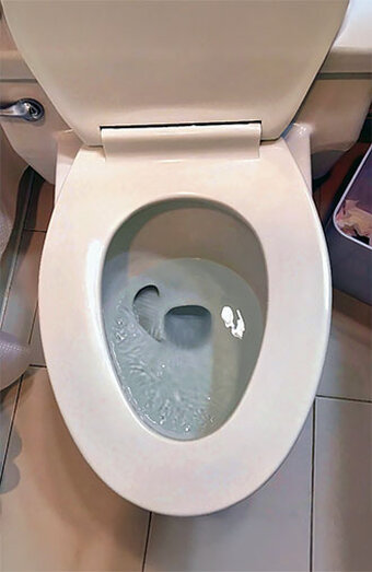 Blocked Toilet